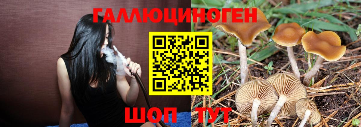 Псилоцибиновые грибы MAGIC MUSHROOMS Саранск
