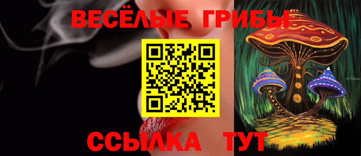 Саранск  Псилоцибиновые грибы мухоморы  где можно купить наркотик  Вход с VPN 